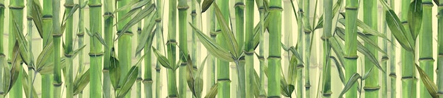Stängel, Blätter und Äste aus Bambus auf hellem Hintergrund Aquarellillustration Nahtloses horizontales Brett aus einem großen Satz BAMBUS UND PANDA Für die Gestaltung und Dekoration von Bannern