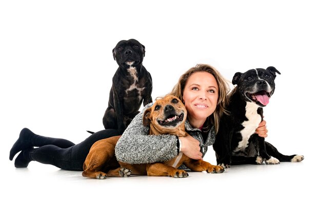 Foto staffordshire bull terriers y mujer delante de un fondo blanco