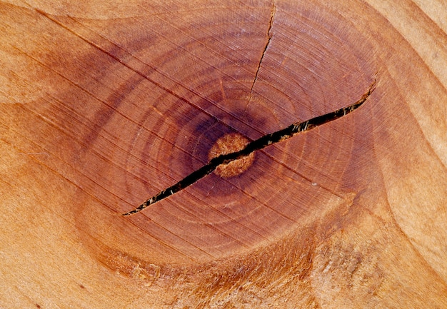 Standard aus braunem trockenem Holz