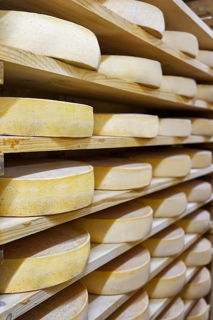 Stapel alternder Käse auf Holzregalen im Reifekeller in der Molkerei Franche Comte in Frankreich