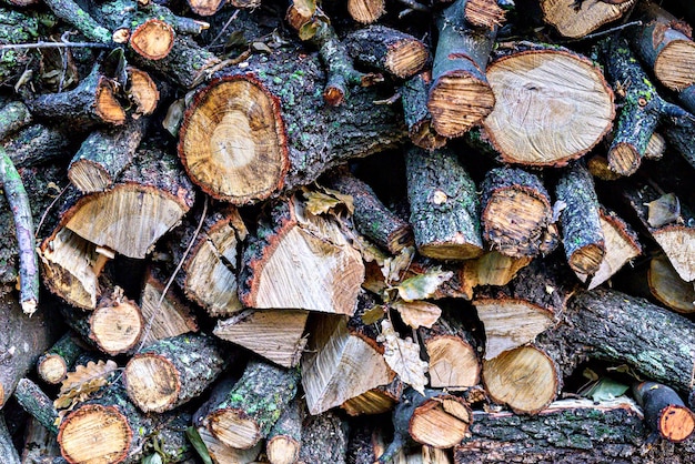 Stapel Brennholz für den Winter gestapelt. Stapel geschnittener Holzstämme und Äste.