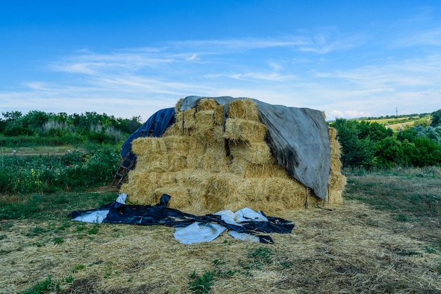 Stapel der rechteckigen Strohballen auf einem Hof