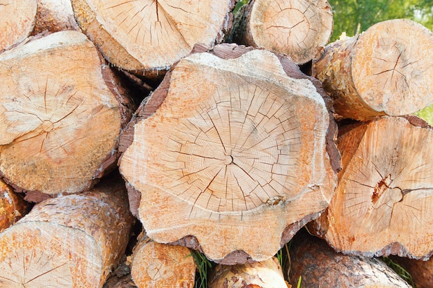 Stapel des Holzklotzspeichers, für Industrie. Gealtertes Stück Holz mit Beschaffenheit. Hintergrund der Ringwälder