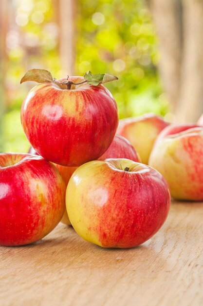 Stapel frischer Ripr-Äpfel auf Holztisch im Garten