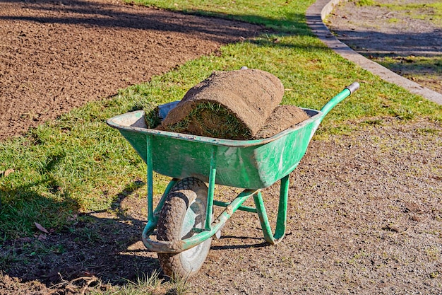 Stapel gerollter Grasnarbe für Rasen und Gartenarbeit in Gartenschubkarre
