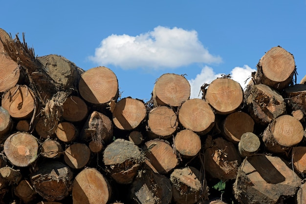 Stapel hölzerne Klotz unter blauem Himmel