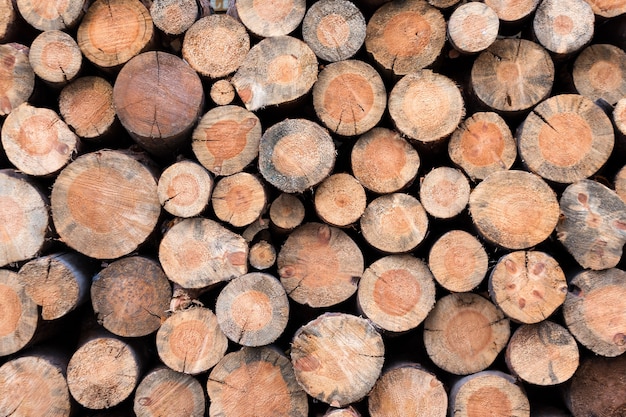 Foto stapel holzstämme übereinander gestapelt. naturholz, gesägte protokolle als hintergrund. wand aus gestapelten holzstämmen.