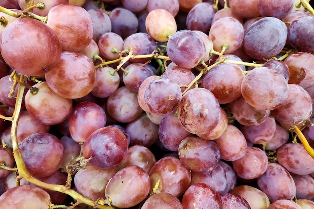 Stapel Rosentrauben auf einem Marktstand