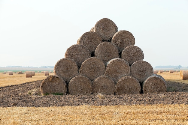 Stapel Stroh auf dem Feld