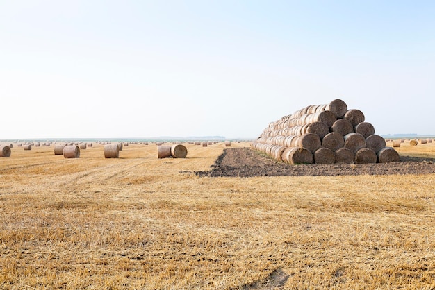 Stapel Stroh auf dem Feld