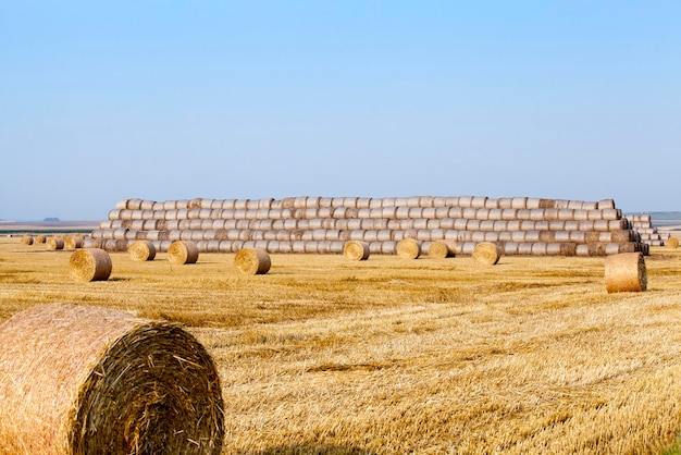 Stapel Stroh auf dem Feld