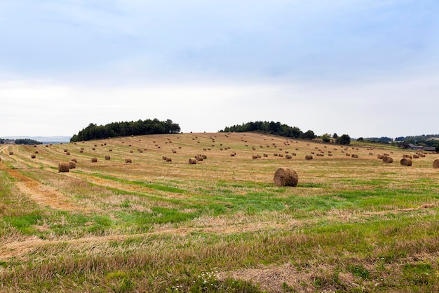 Stapel Stroh auf dem Feld