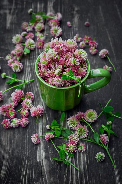 Stapel von frisch gefressenen rosa Kleeblumenköpfen auf Holz