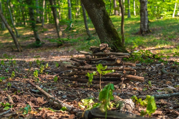 Stapel von gestapeltem Brennholz im Wald