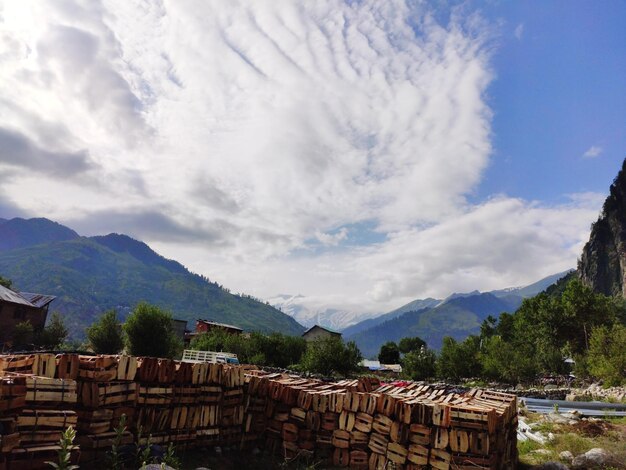 Foto stapel von häusern an bäumen gegen den himmel