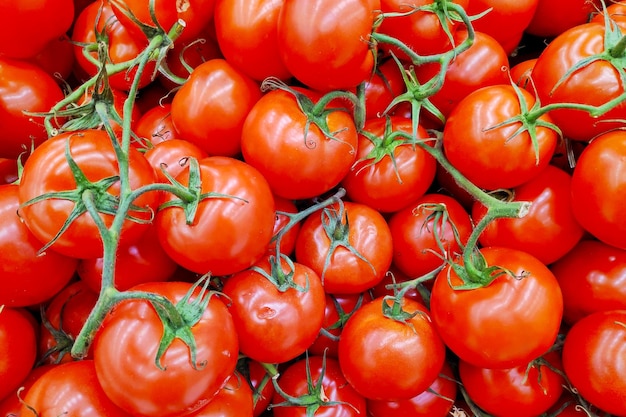 Stapel von runden Tomaten in gebündelt auf einem Marktstand