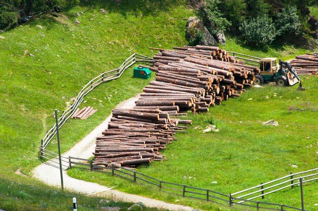 Stapel von Schnittholz aus dem Wald