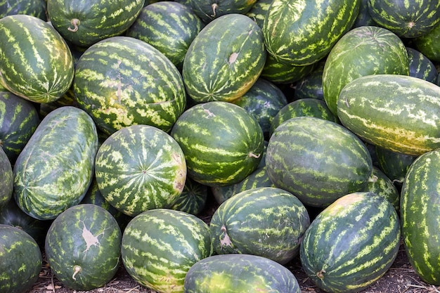 Stapel Wassermelone Draufsicht