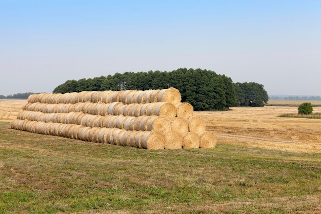 Stapel Weizenstroh