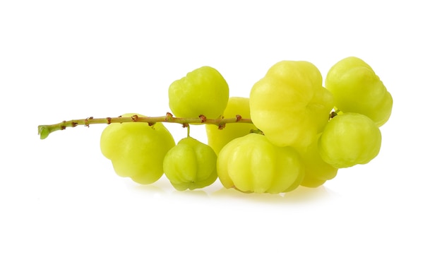 Star Gooseberry