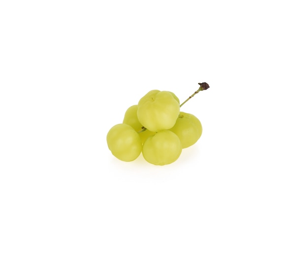 Star Gooseberry