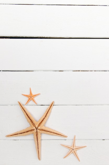 Starfish auf weißem Holz