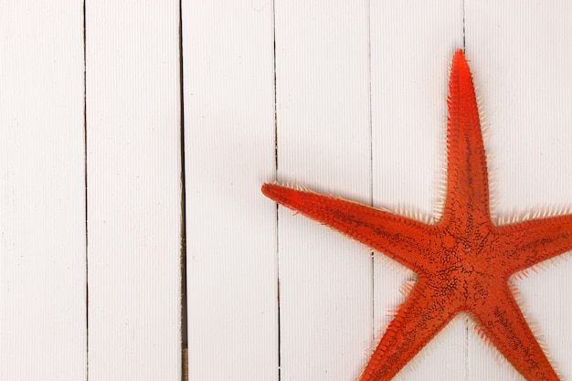 Foto starfish auf weißem holz