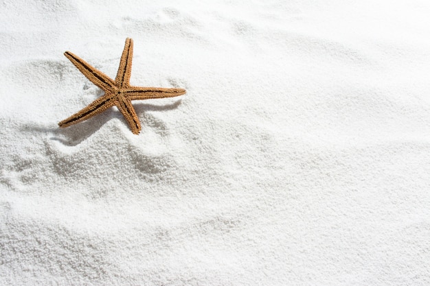 Starfish auf weißem Sand, für Sommerhintergrund