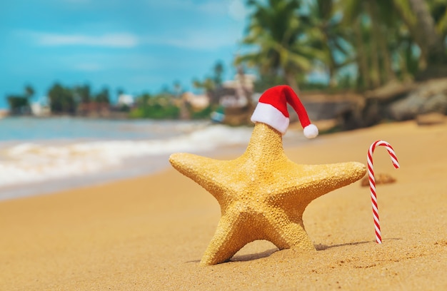 Starfish Santa Claus am Strand mit Zuckerstange