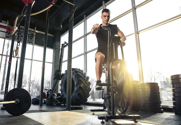 Starke Selbstkontrolle. Junge muskulöse kaukasische Sportler trainieren im Fitnessstudio, machen Kraftübungen, üben, arbeiten an seinem Unterkörper mit Rollrad. Fitness, Wellness, gesundes Lifestyle-Konzept.