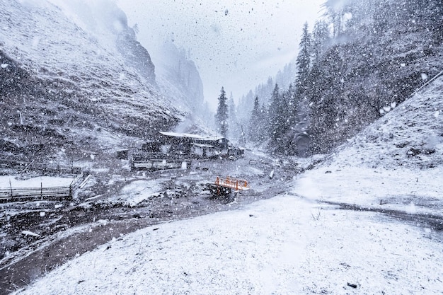 Starker Schneefall im Rara Nationalpark, Mugu Nepal