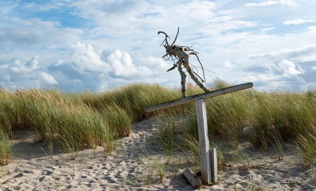 Foto statue auf dem feld gegen den himmel