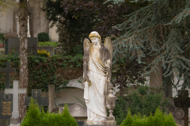 Foto statue gegen bäume