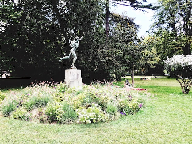 Foto statue im park