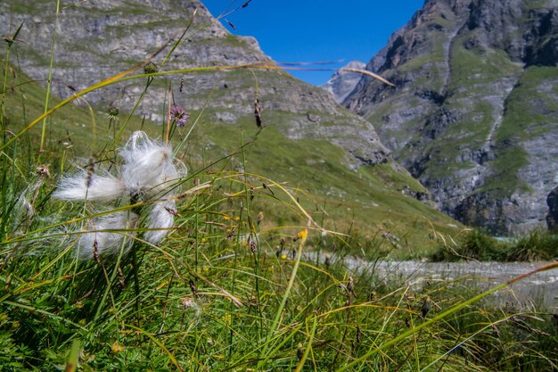 Foto staudamm mauvoisinvalaisschweiz