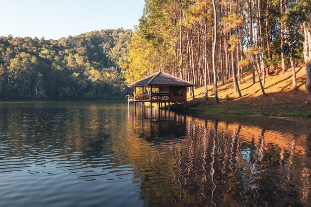 Stausee und Bäume morgens am RuhetagNatur