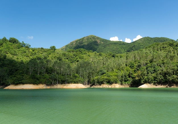 Stausee und Wald