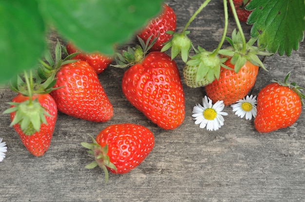 Stawberries em uma prancha