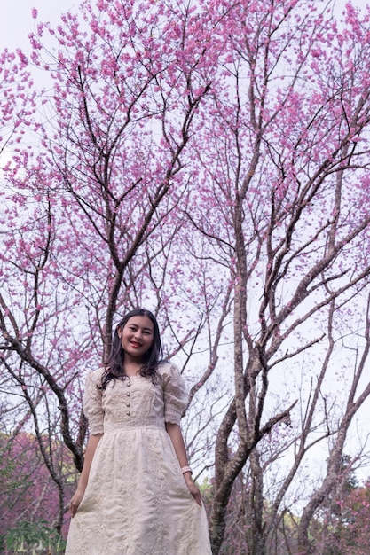 Stehende glückliche asiatische Frau in weißem Kleid mit wilder Himalaya-Kirsche, rosa Sakura Thailand, die im Frühling im Garten der Khun Sathan Watershed Research Station, Nan, Thailand, blüht.