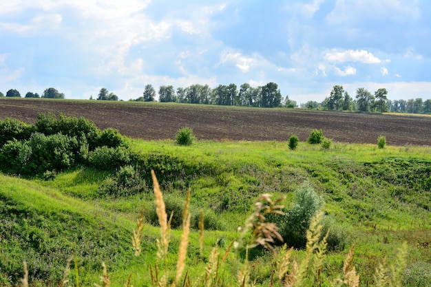 Steigungshügel mit landwirtschaftlichem Feld, grünen Bäumen und Gras und bewölktem Himmel