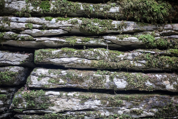 Stein, der mit Moosgestein bedeckt ist, im Reliktwaldhintergrund von Naturstein