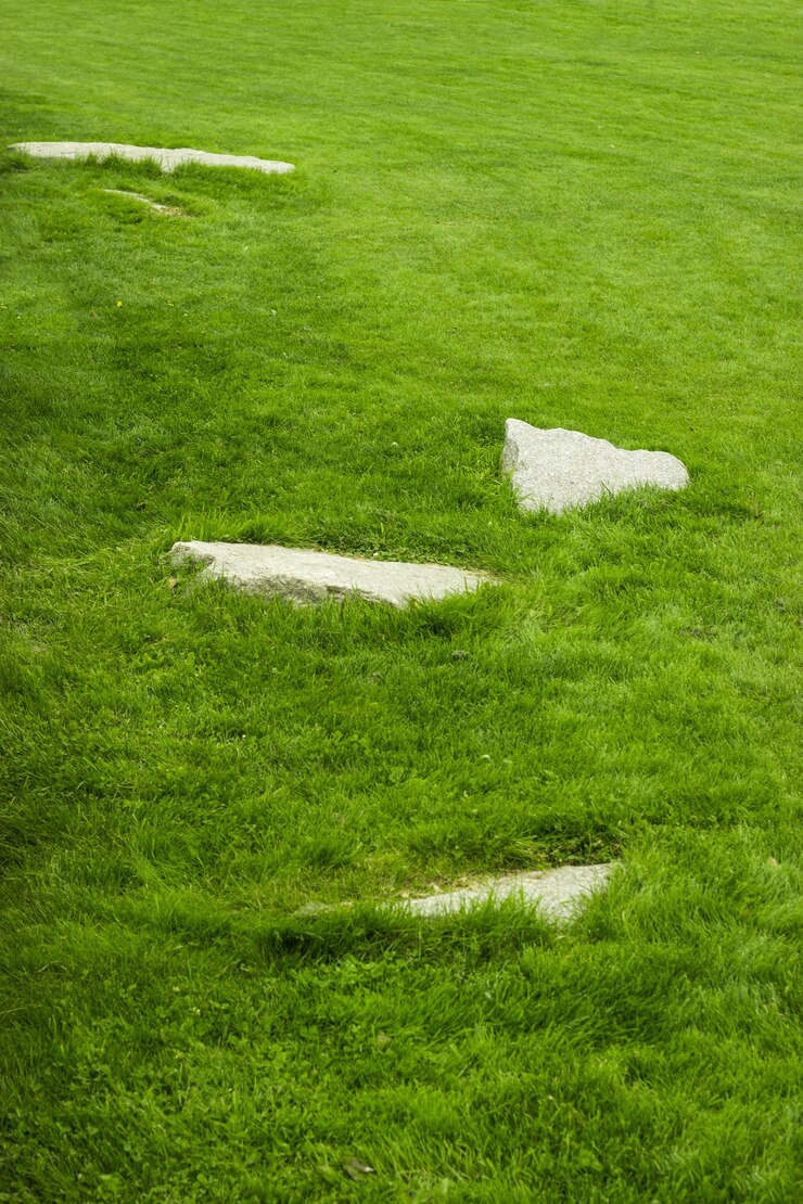 Stein mit grünem Grashintergrund für Gartengestaltung.