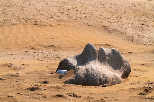 Stein von erstaunlicher Form im Wüstensand