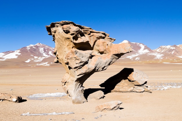 Steinbaumfelsen, Bolivien. Bolivianisches Wahrzeichen. Arbol de Piedra