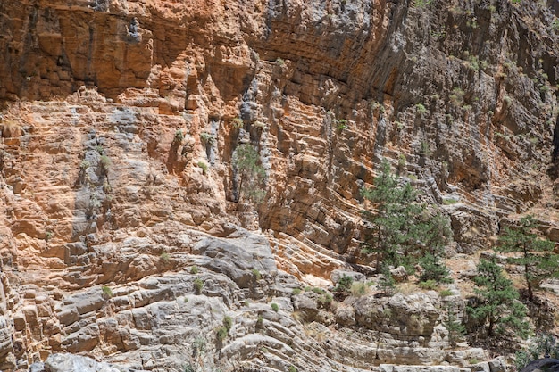 Steinbeschaffenheit der Samariterschlucht