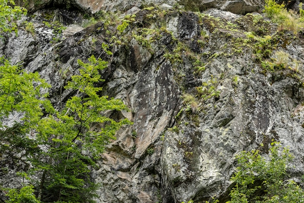 Steinbeschaffenheit - Details