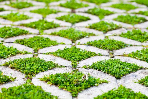 Steinblockwegweg im Park mit grünem Gras