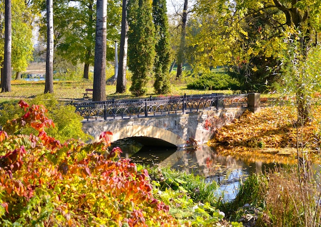 Steinbrücke Herbstpark