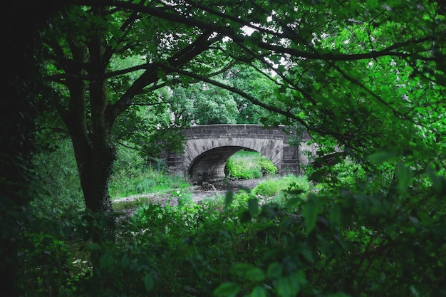 Steinbrücke im Grünen in England