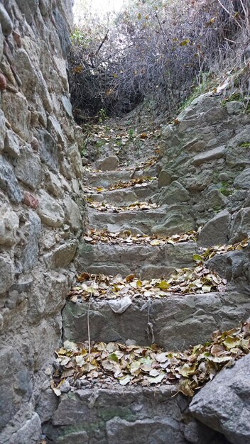 Steinburg in der Nähe der Mauern und im Inneren